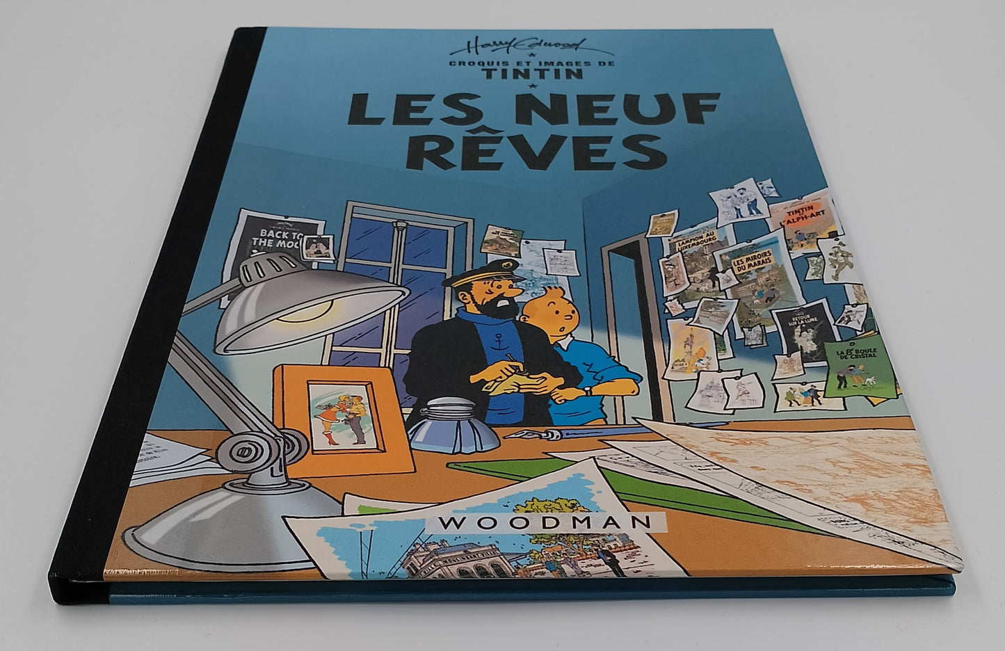 Tintin: les neuf rêves