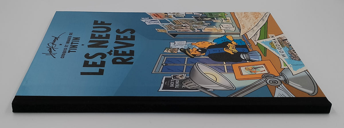 Tintin: les neuf rêves