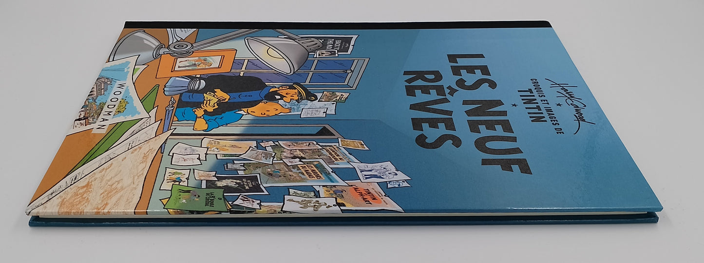 Tintin: les neuf rêves