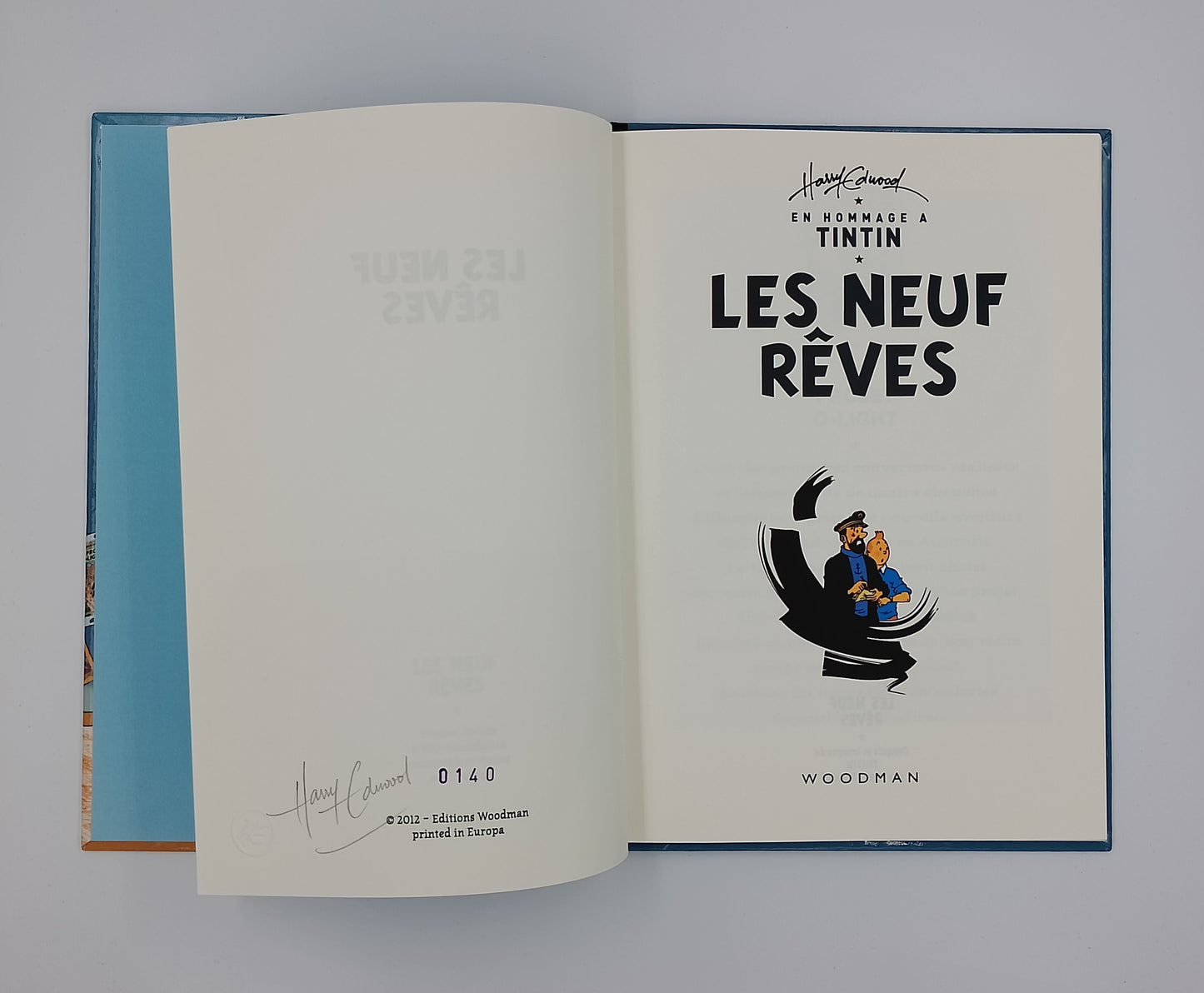 Tintin: les neuf rêves